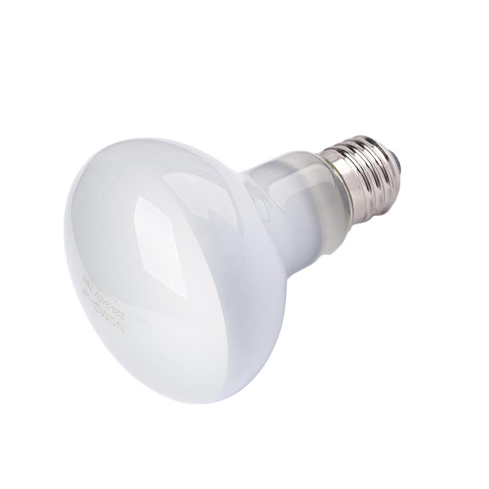Basking Bulb Halogen - Контроллер температуры для обогревателя для рептилий,