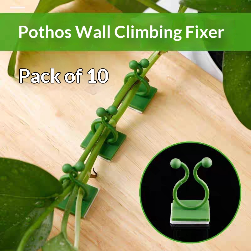 Vine Climbing Plastic - Самоклеящиеся крепления для растений на стену,