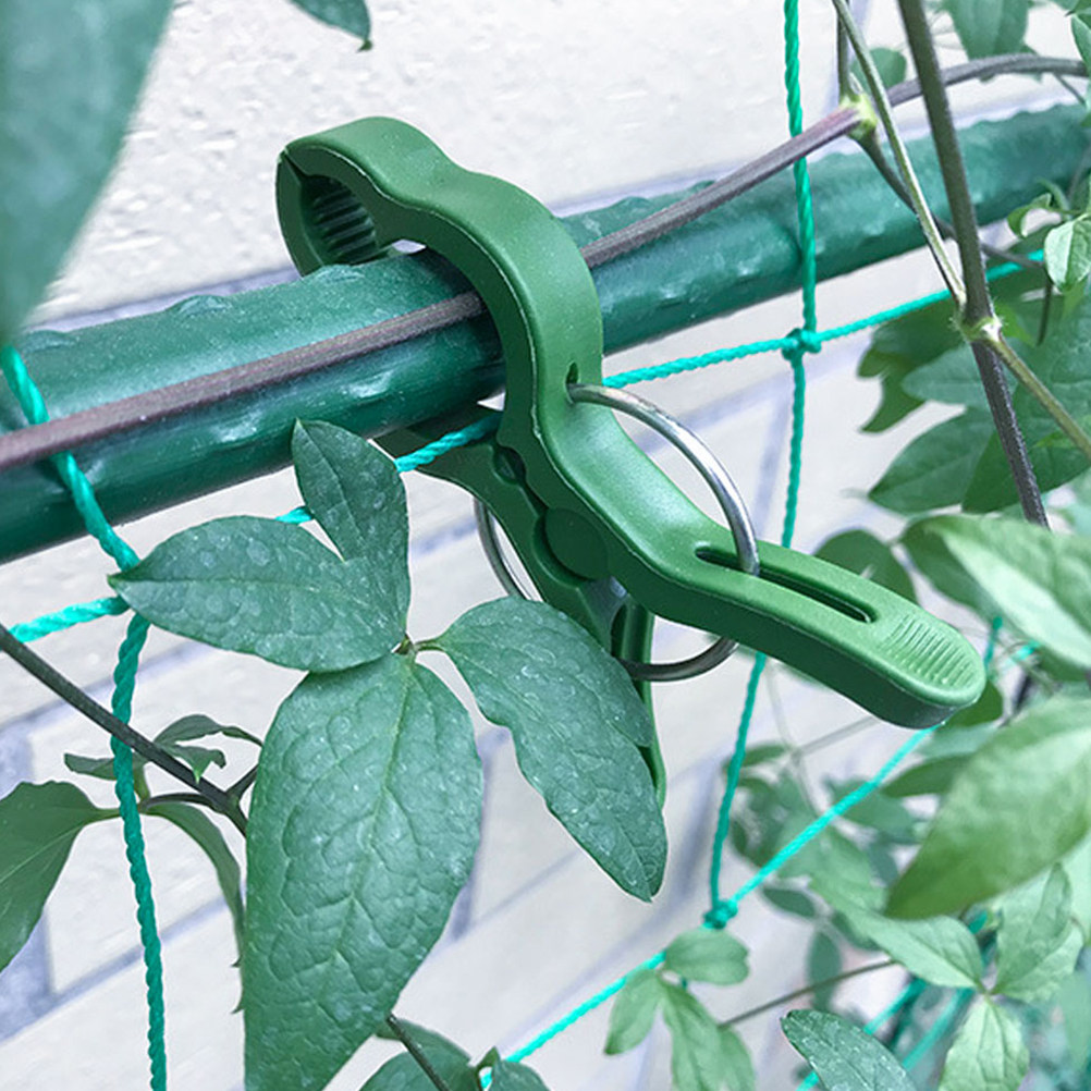 Vine Climbing Plastic - 60 шт. пластиковых зажимов для растений