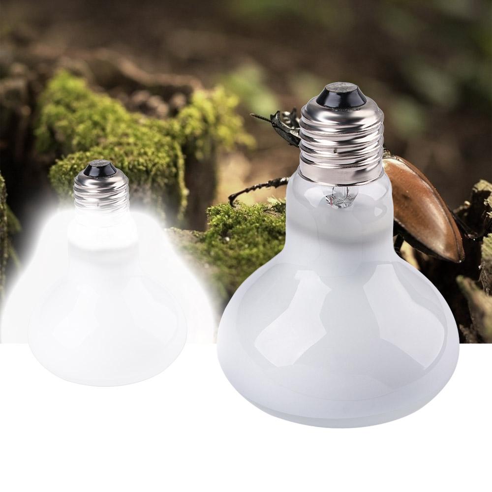 Лампа для обогрева рептилий: г – обзор и цена Basking Bulb Halogen