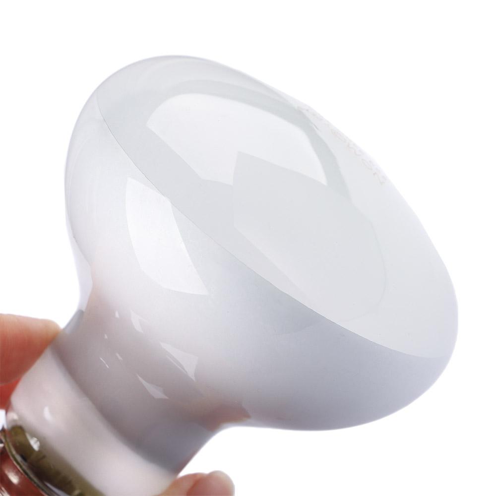 Контроллер температуры для тер – обзор и цена Basking Bulb Halogen
