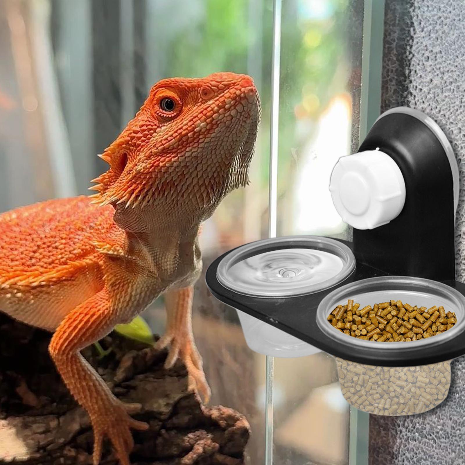 Миска для корма и воды для гек – обзор и цена Water Dish Reptile