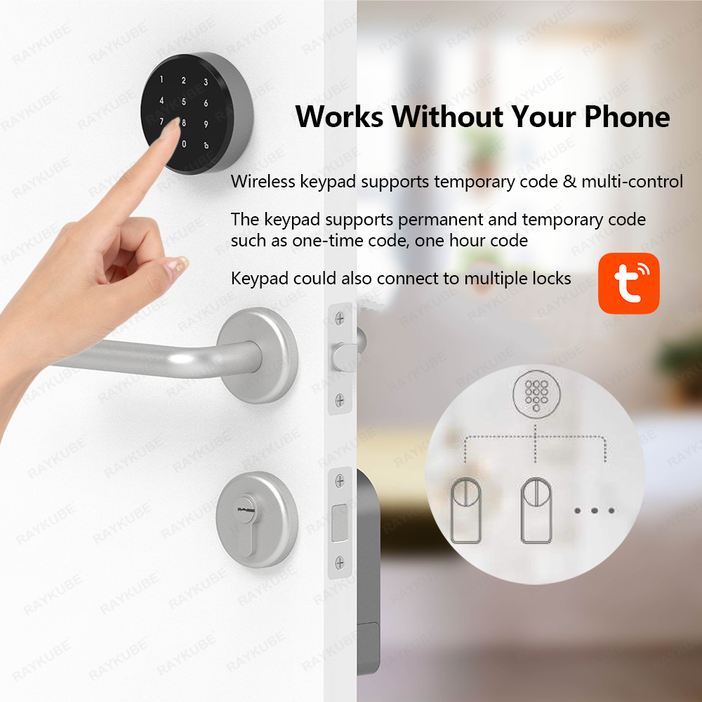 RAYKUBE A1 Pro Tuya BEL Компле – обзор и цена Glass Door Hinge