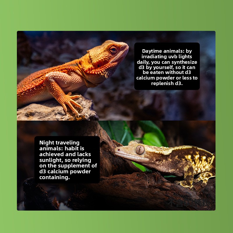Порошок кальция для рептилий R – обзор и цена Vitamin D3 Reptile