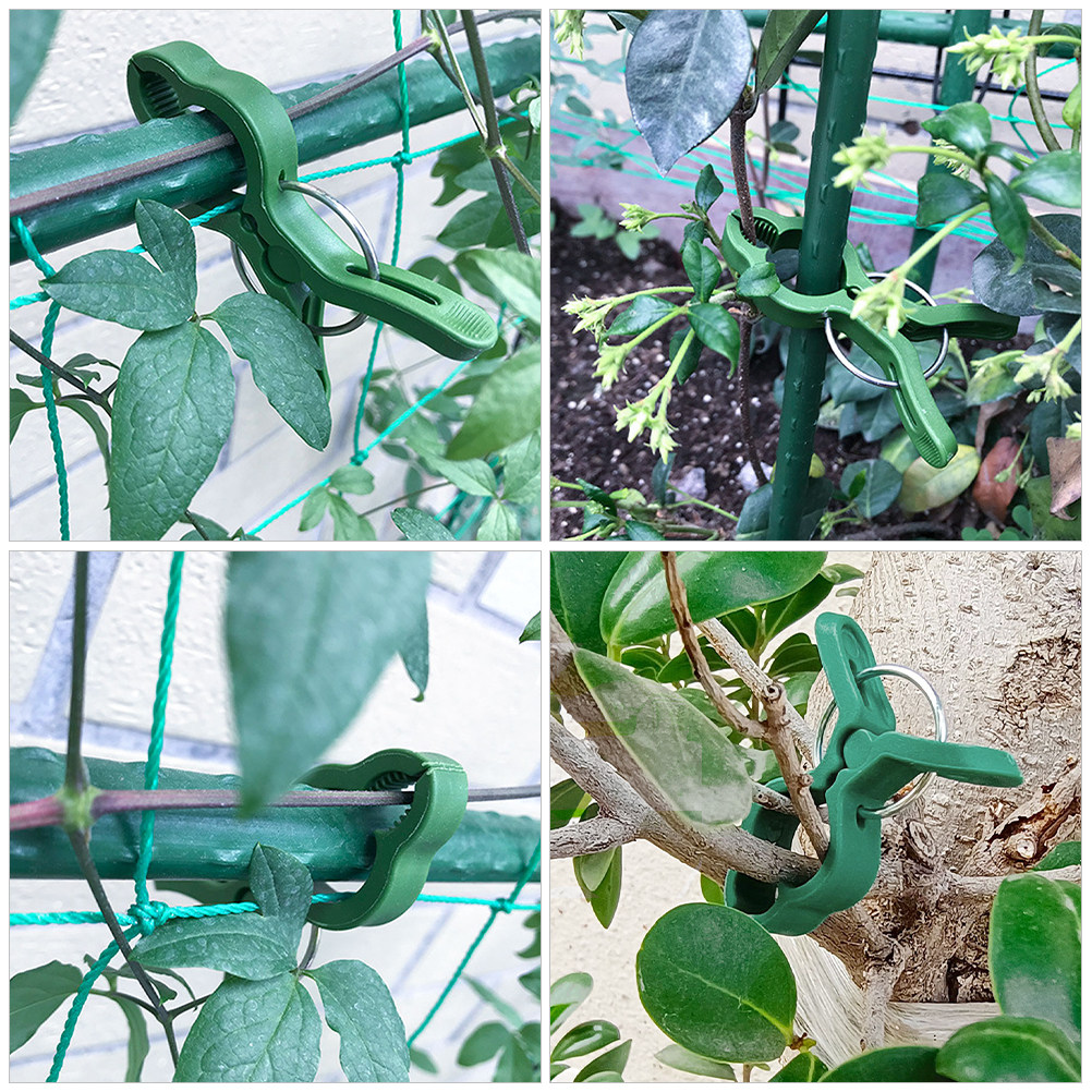 60 шт. пластиковых зажимов для – обзор и цена Vine Climbing Plastic
