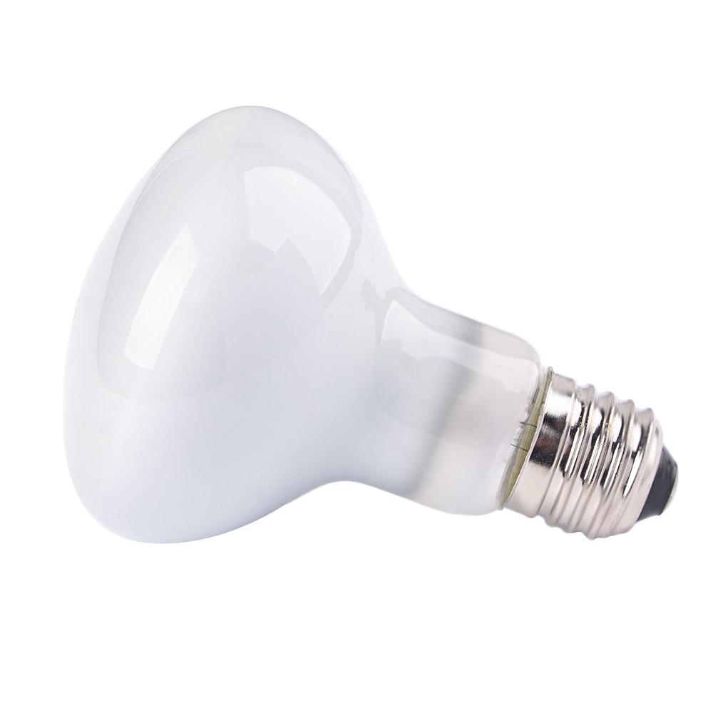 Контроллер температуры для чер – обзор и цена Basking Bulb Halogen