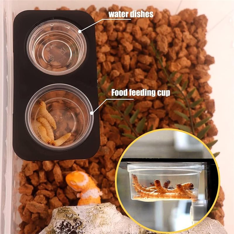 Кормушки и поилки для гекконов – обзор и цена Water Dish Reptile
