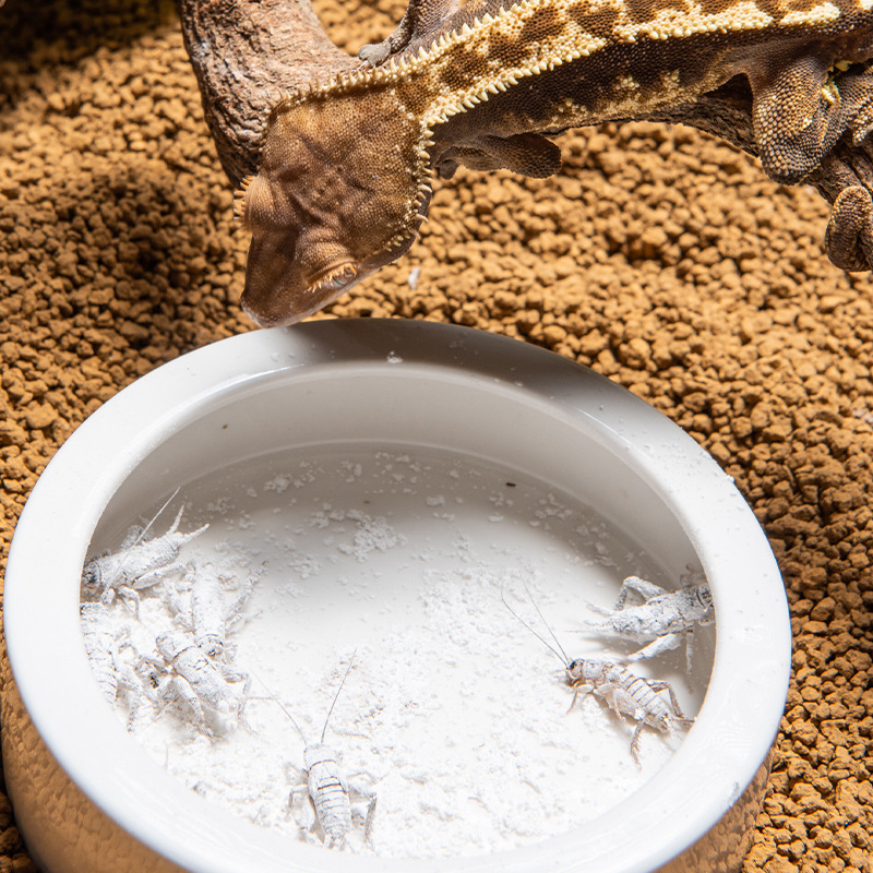 Сумесь витамина и пробиотиков  – обзор и цена Vitamin D3 Reptile